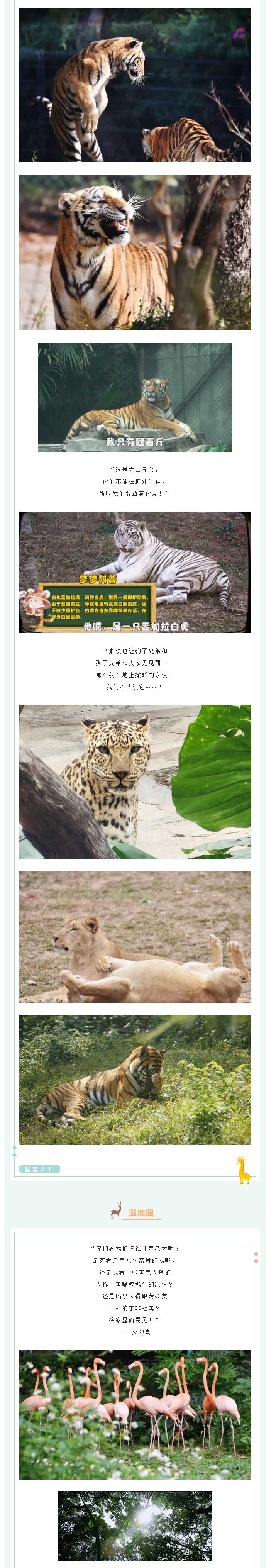 3月野生动物(wù)园亲子游报名开始啦_02.jpg