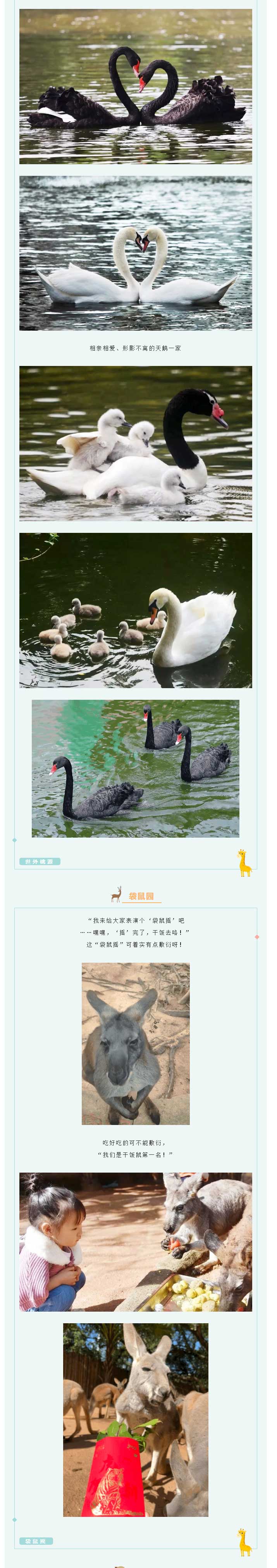 3月野生动物(wù)园亲子游报名开始啦_05.jpg
