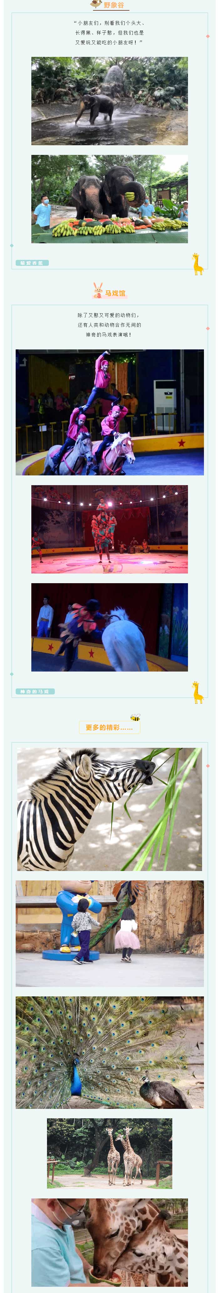3月野生动物(wù)园亲子游报名开始啦_06.jpg